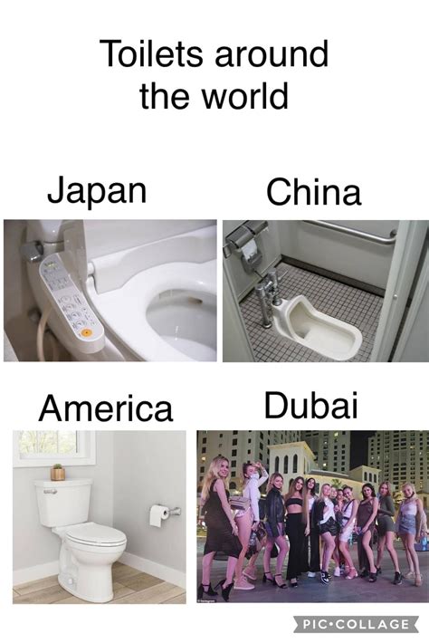 dubai porta potty meme.